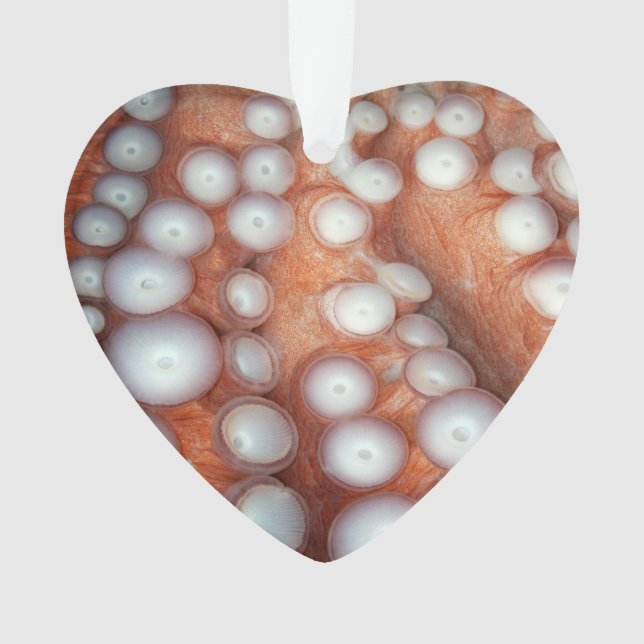 Falln Up Close Octopus Ornament (Front)