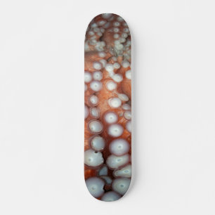 Falln Up Close Octopus Skateboard