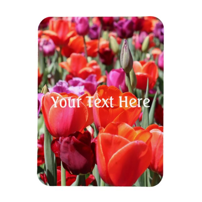Falln Warm Tulips Magnet (Vertical)