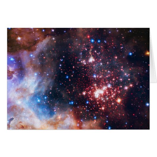 Falln Westerlund Star Field Cards (Front Horizontal)