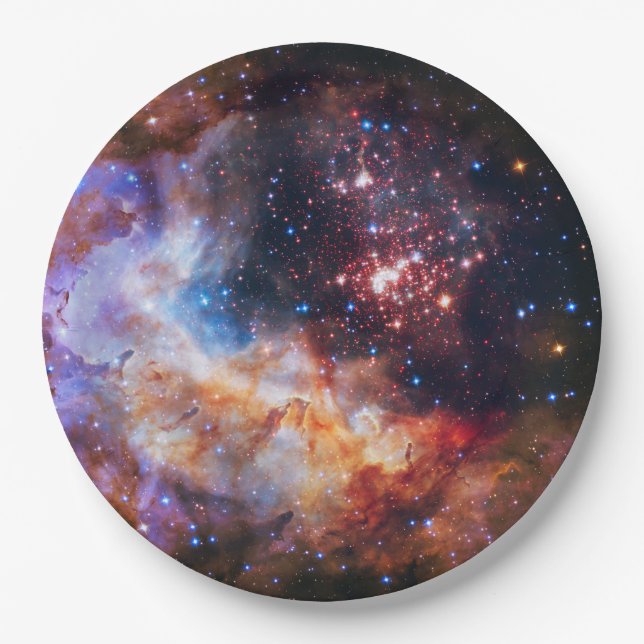Falln Westerlund Star Field Paper Plates (Front)