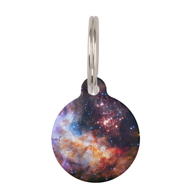 Falln Westerlund Star Field Pet Name Tag (Front)