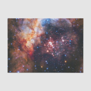 Falln Westerlund Star Field Tissue Paper