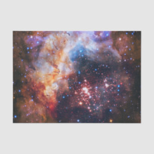 Falln Westerlund Star Field Tissue Paper