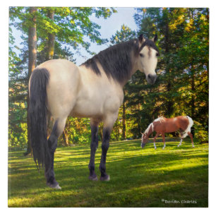 "Fallon" Ceramic Tile