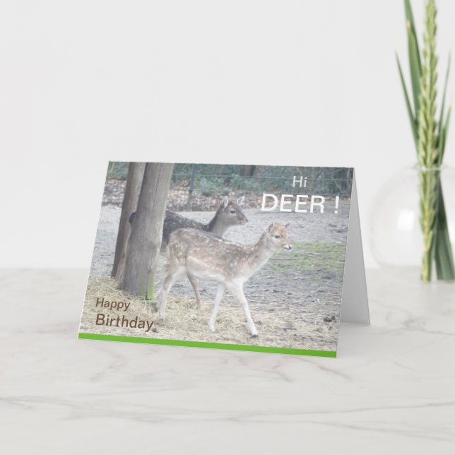 Fallow Deer Birthday Greeting Card (Front)