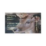Fallow Deer Business Card