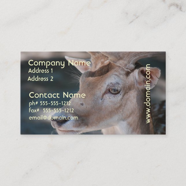 Fallow Deer Business Card (Front)