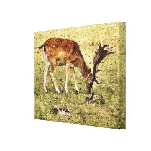 Deer Canvas Prints, Deer Wrapped Canvas Photo Print