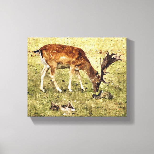 FALLOW DEER CANVAS PRINT (Front)