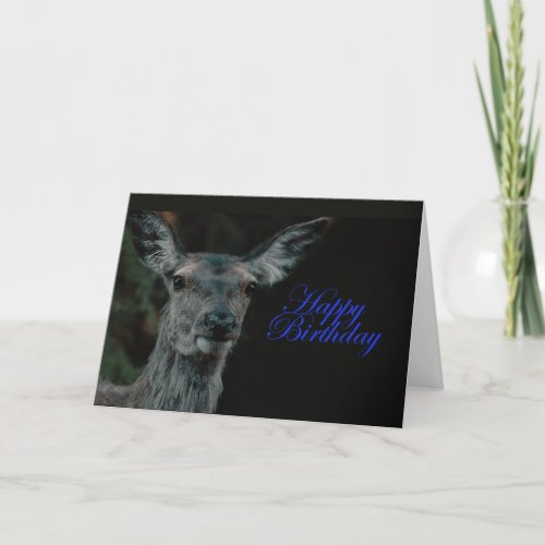 Fallow Deer Card