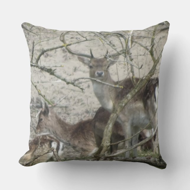 Fallow Deer in Forrest Throw Pillow (Front)
