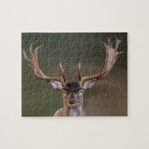 Fallow Deer is Judging You Jigsaw Puzzle