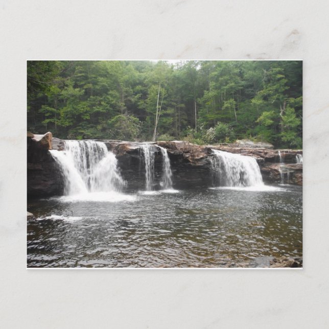 Falls of the Cheat Postcard (Front)