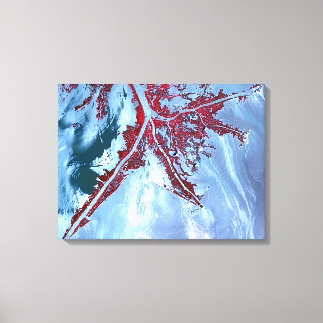 False color satellite canvas print (Front)