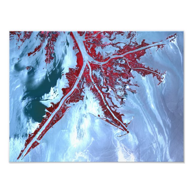 False color satellite photo print (Front)