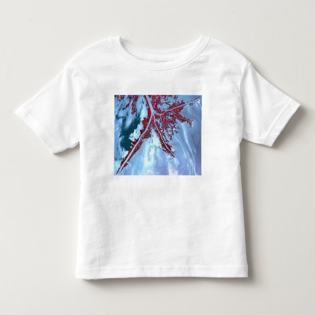 False color satellite toddler t-shirt (Front)
