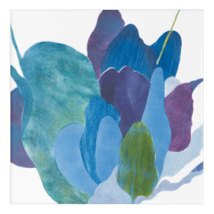 False Indigo I Acrylic Print