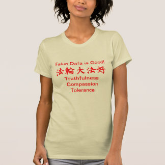 Falun Dafa is good sunshine T-shirt