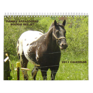 Family Appaloosas 2011 Calendar