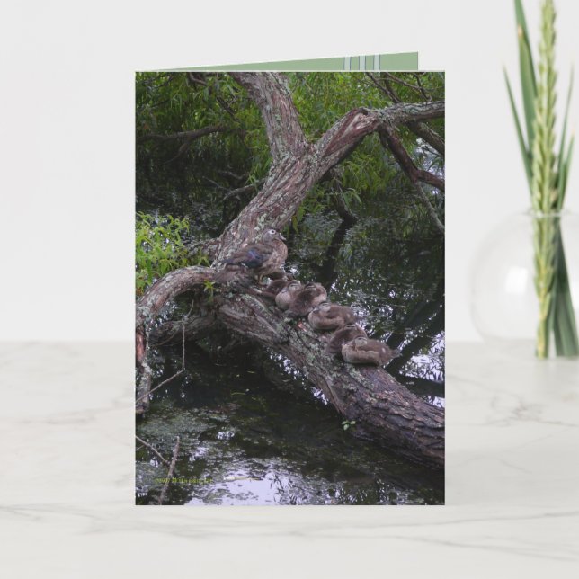 Family at Rest Card (Front)