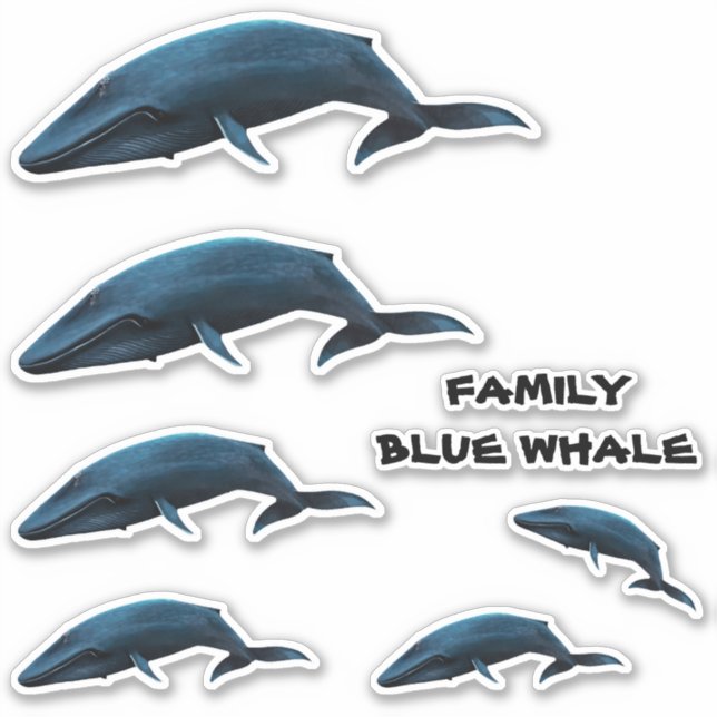 FAMILY BLUE WHALE STICKER (Front)