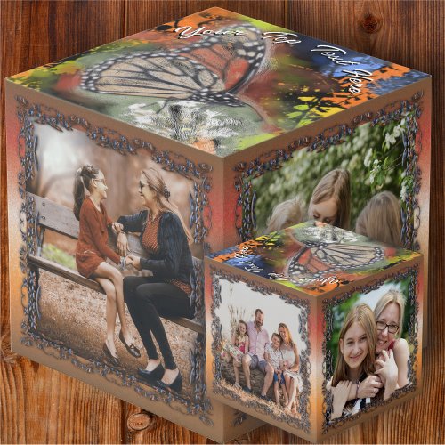Family Butterfly  Cube