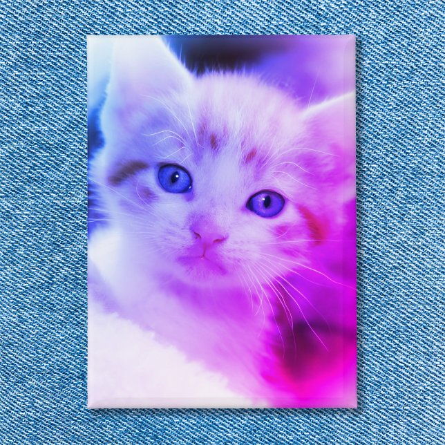 Family Cat Photo Blue Pink Ombre Button (Family Cat Photo Blue Pink Ombre Button)