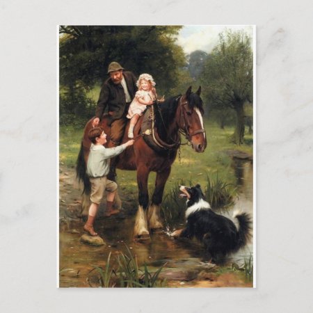Family Children Collie Dog Horse Boy Girl Postcard
