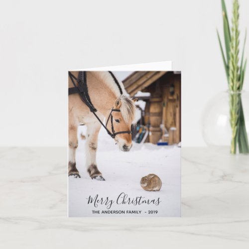 Family Christmas photo cute animals horse snow Holiday Card