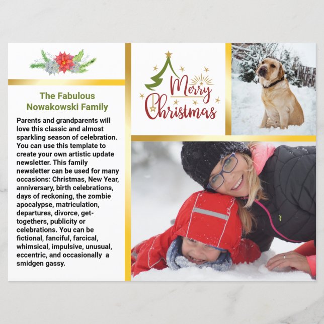 Family Christmas 🎄✨ Photo Newsletter  (Front)