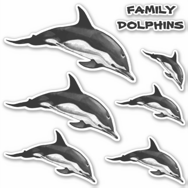 FAMILY COMMON DOLPHIN STICKER (Front)