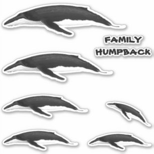 FAMILY HUMPBACK WHALE STICKER