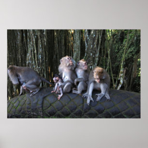 Family Macaque Poster