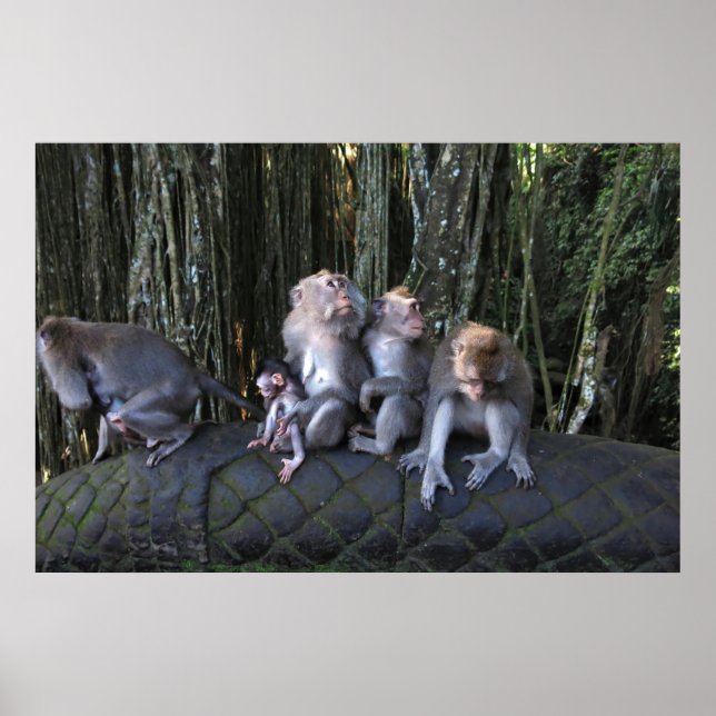 Family Macaque Poster (Front)