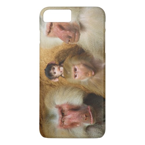 Family of Baboons Papio Hamadryas Cologne Zoo iPhone 8 Plus7 Plus Case