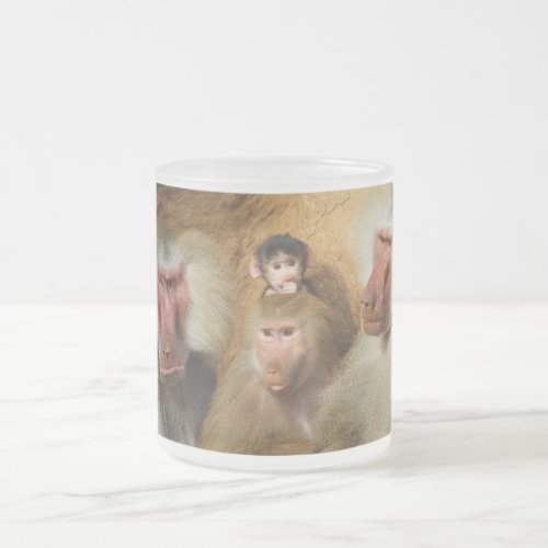 Family of Baboons Papio Hamadryas Cologne Zoo Frosted Glass Coffee Mug