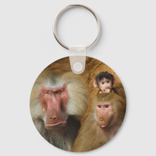 Family of Baboons Papio Hamadryas Cologne Zoo Keychain