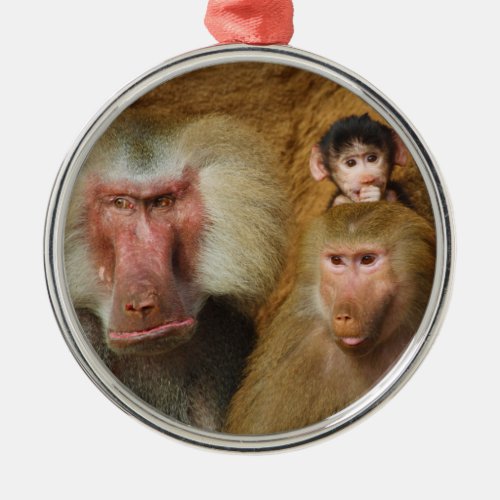 Family of Baboons Papio Hamadryas Cologne Zoo Metal Ornament