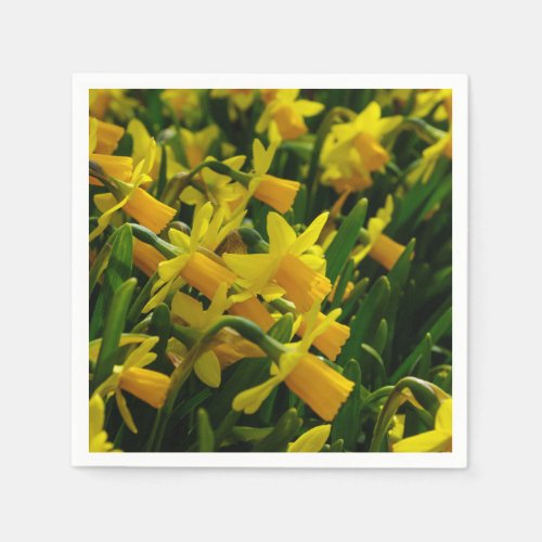 Family Of Daffodils Paper Napkins