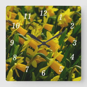 Family Of Daffodils Square Wall Clock