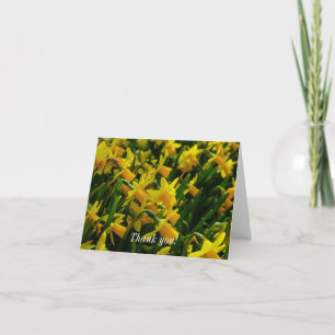 Family Of Daffodils Thank You Card