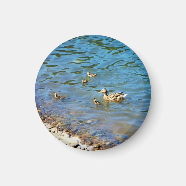 Family of Ducks Magnet (Front)