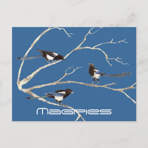 Family of Magpies Birds Nature Wildlife Postcard