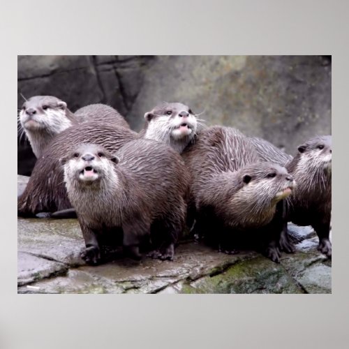 Family of Otters Poster