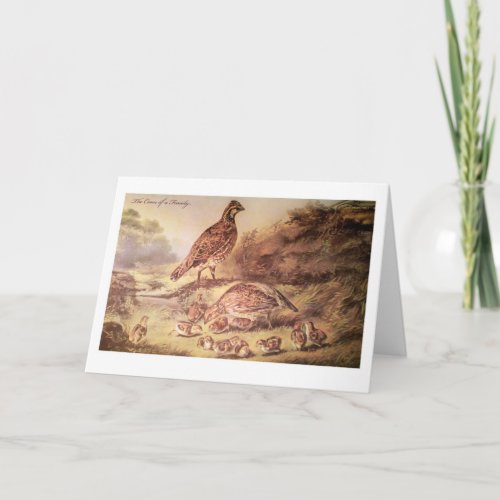 Family of Quail Greeting Card