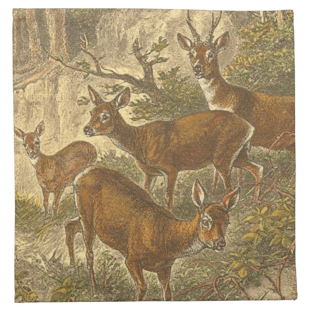 Family of Roe - Deers in a Forest Cloth Napkin (Front)