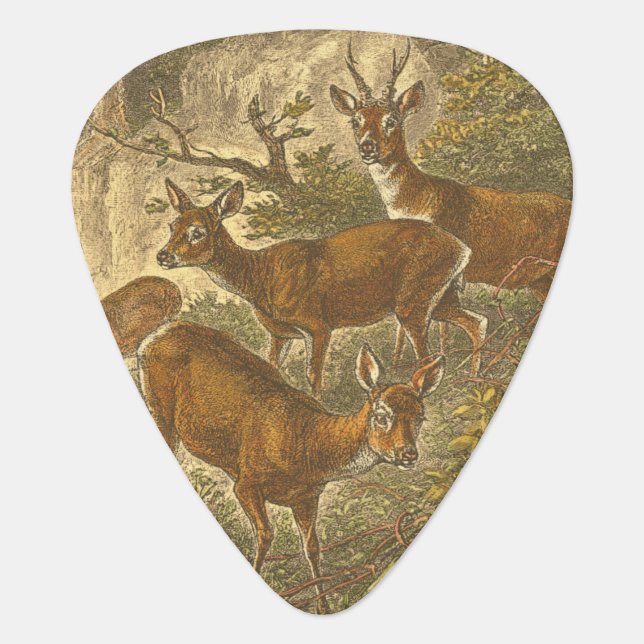 Family of Roe - Deers in a Forest Guitar Pick (Front)