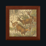Family of Roe - Deers in a Forest Keepsake Box<br><div class="desc">This painting by artist Friedrich Specht represents a family 4 roe-deers in a forest. The old style painting shows beautiful neutral and authentic colors of the roe-deer family. Customize your favorite Zazzle product using this beautiful image.</div>