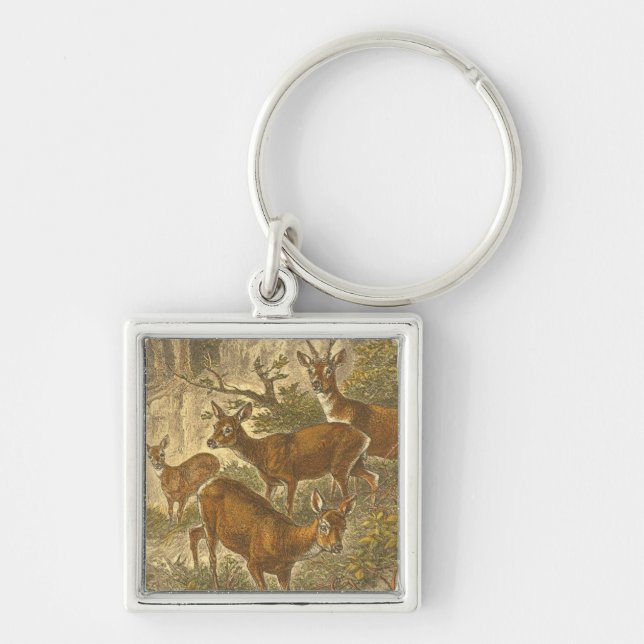 Family of Roe - Deers in a Forest Keychain (Front)
